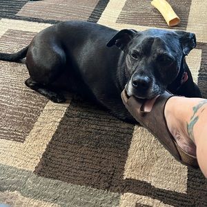 Meet your Posher, Sue